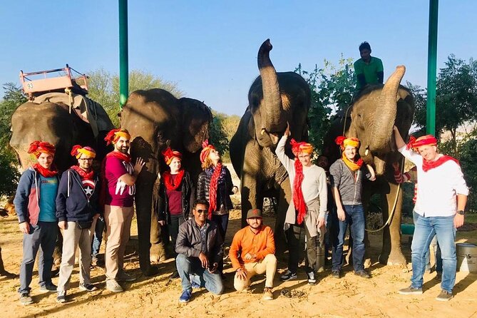 Golden Triangle Tour With Ranthambore 6 Days - Itinerary Breakdown