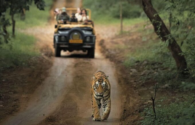 Golden Triangle With Ranthambore Wildlife Tour (06 Days) - Jaipur to Ranthambore