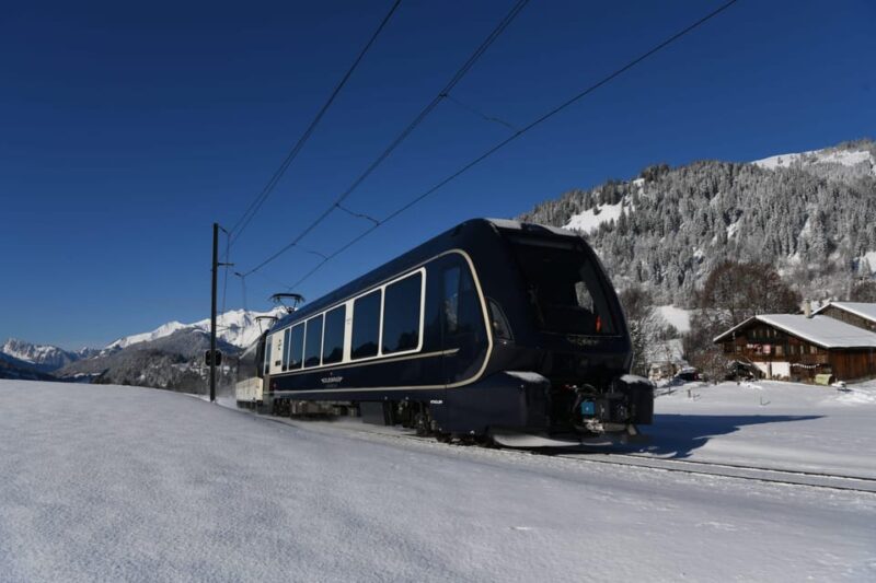 Goldenpass Express: Scenic Train From Montreux to Spiez - Train Specifications and Features