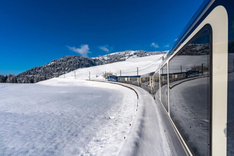 Goldenpass Express: Scenic Train From Montreux to Spiez - Accessibility and Mobility Options