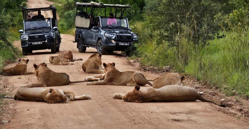 Golf and Safari Tour in Kruger National Park and at Skukuza - Itinerary Highlights
