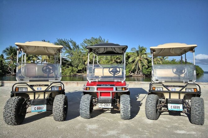 Golf Cart Rental By Group 2-6 Seater - Pricing and Cancellation Policy