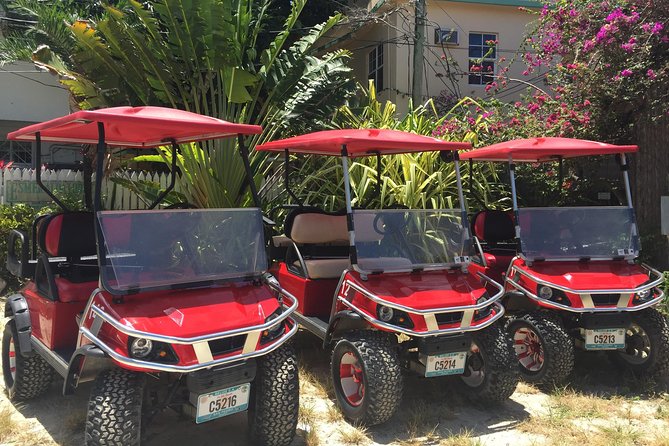 Golf Cart Rental by Group 3-4seater - Rental Duration and Discounts