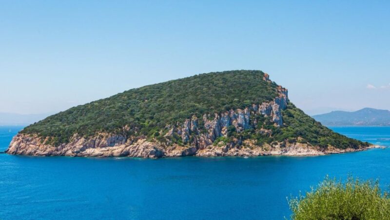 Golfo Aranci: Dolphin Watching and Snorkeling Boat Tour - Experience Highlights