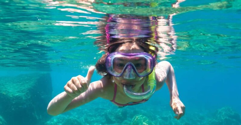 Golfo Aranci: Dolphin Watching and Snorkeling Boat Tour - Inclusions and Exclusions
