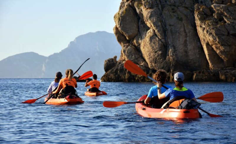 Golfo Aranci: Kayak Tour With Dolphins and Aperitif - Experience Highlights