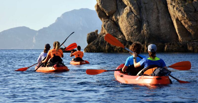 Golfo Aranci: Kayak Tour With Dolphins and Aperitif - Inclusions and Requirements