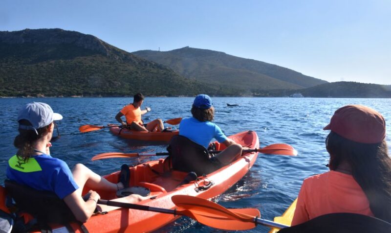Golfo Aranci: Kayak Tour With Dolphins and Aperitif - Cancellation and Communication