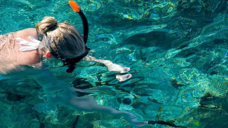 Golfo Aranci: Snorkelling in Cala Moresca - Key Points