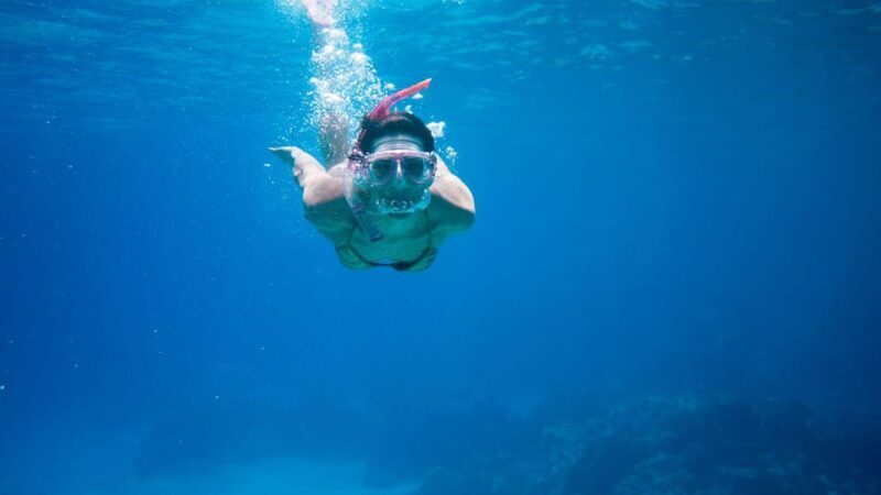 Golfo Aranci: Snorkelling in Cala Moresca - Environmental Awareness and Conservation