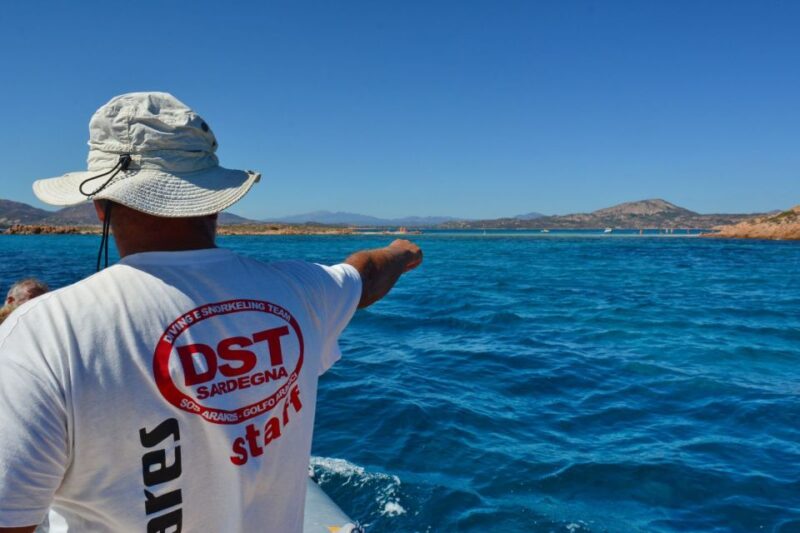 Golfo Aranci: Tavolara and Molara Snorkeling Dinghy Tour - Included and Not Included