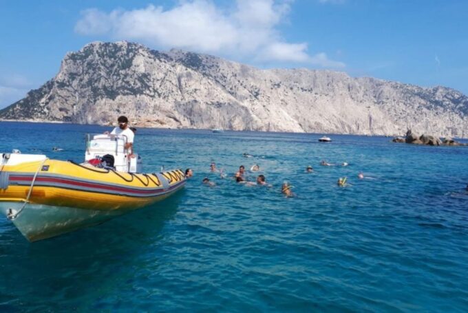Golfo Aranci: Tavolara and Molara Snorkeling Dinghy Tour - Booking and Availability