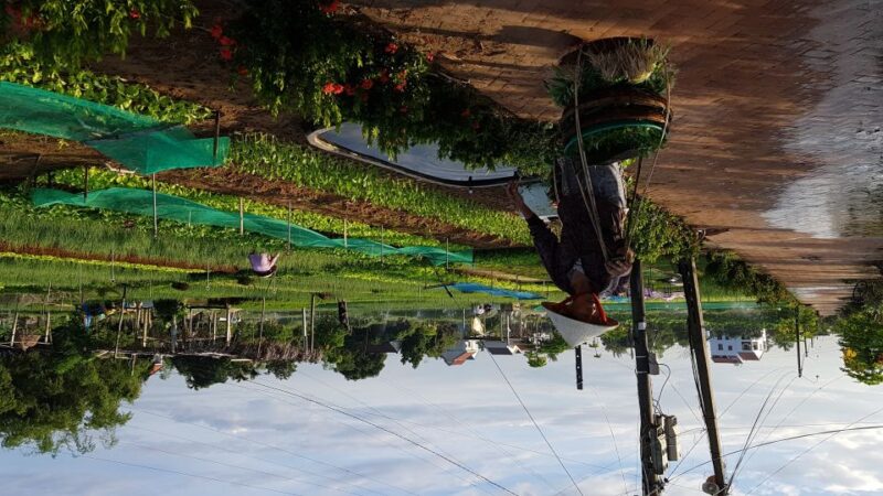 Good Morning Hoi an With Fishing and Vegetables Villages - Pick-up and Boat Ride