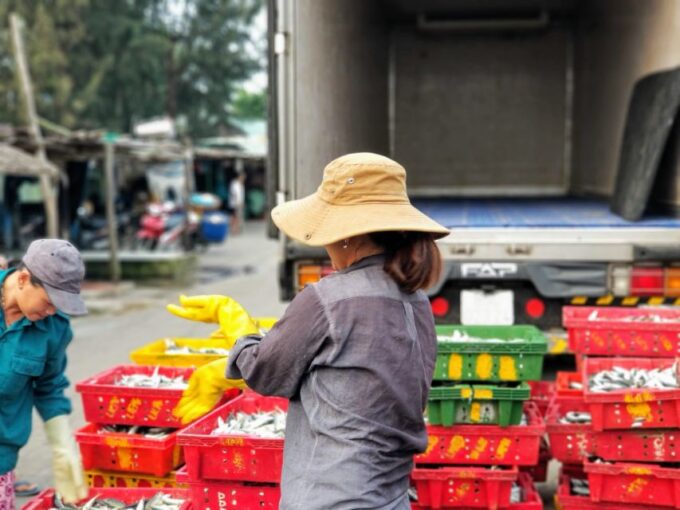 Good Morning Hoi an With Fishing and Vegetables Villages - Inclusions and Exclusions