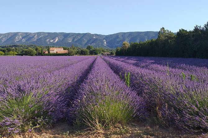Gordes, Roussillon(+ Ochre Trail) & Fontaine De Vaucluse - Traveler Experiences and Ratings