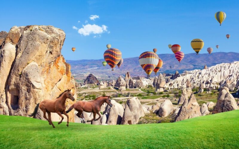 Göreme: Horseback Riding Experience in Cappadocia - Participant Requirements
