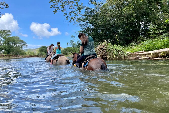 Gorgeaus Caribbean Island + Mangroves Kayaking - Tour Overview and Inclusions