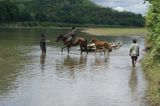 Gorgeous Natadola Beach, Fijian Pottery Village, School Visit With Lunch - Inclusions