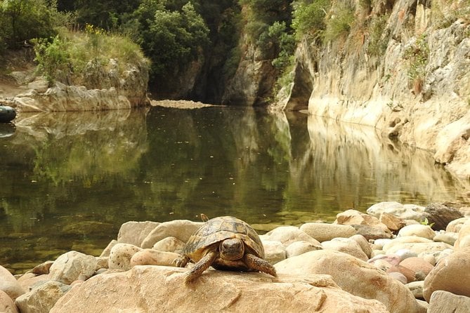 Gorges of Tiberius in Rubber Dinghy, Unesco Geopark Site - Whats Included in Tour