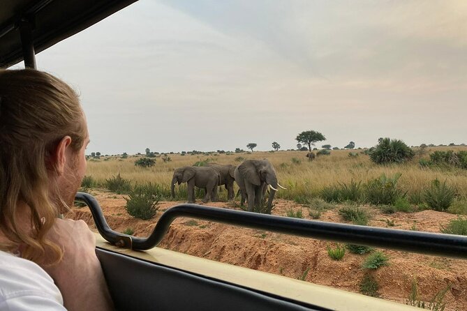 Gorilla & Chimpanzee Trekking in Uganda - 5 Days - Inclusions and Exclusions