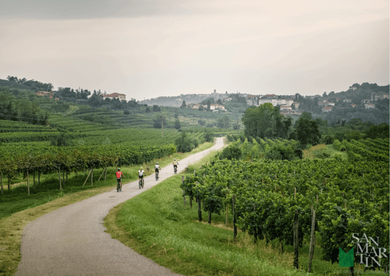 Goriška Brda: E-Bike Tour With Local Guide - Included in the Tour