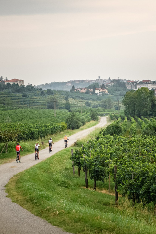 Goriška Brda: E-Bike Tour With Local Guide - Experiencing Local Wines