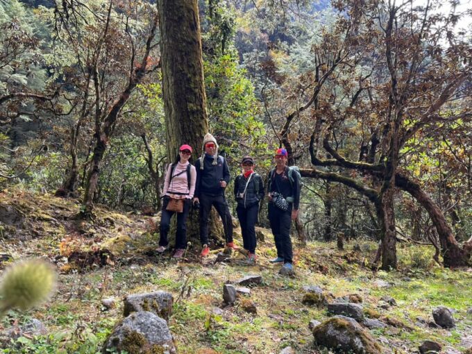 Gosaikunda Trek 7 Day: A Journey to the Sacred Alpine Lakes - Frequently Asked Questions
