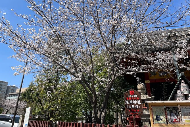 Goshuin Collecting Tour at Asakusa Local Temples & Shrines, Tokyo - Accessibility and Requirements