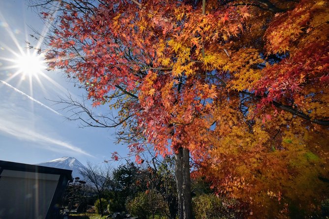 Gotemba Outlet Mall Plus Lake Kawaguchi or Hakone Tour by Chartered Van - Inclusions and Exclusions