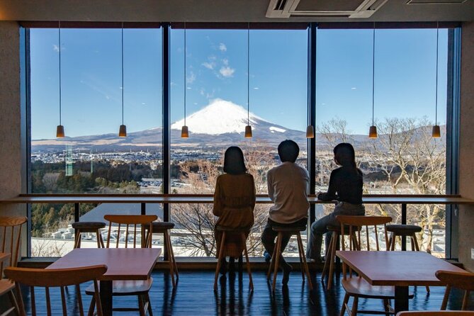 Gotemba Premium Outlets and Konohana No Yu Private Tour - Tour Overview