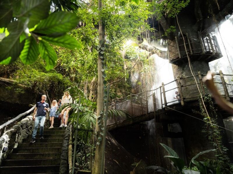 Gothenburg: Go City All-Inclusive Pass With 20+ Attractions - Good To Know
