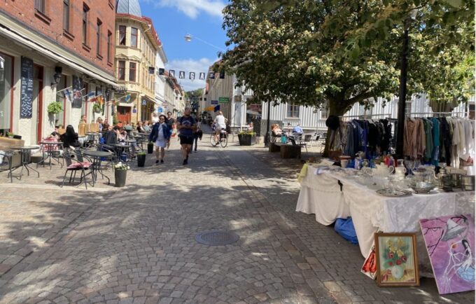 Gothenburg: Private Walking Tour With a Guide - Guided Walking Experience