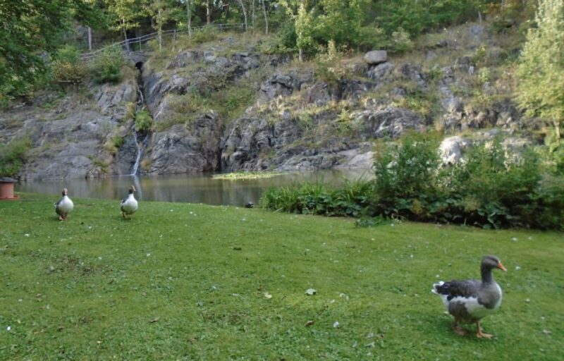 Gothenburg: Slottsskogen Park & Botanical Garden Tour - Slottsskogen Park Exploration