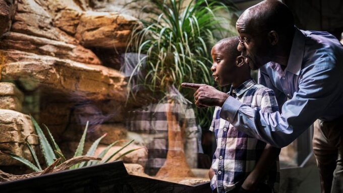 Gothenburg: Universeum Entry Ticket - Exploring the Ocean Zone
