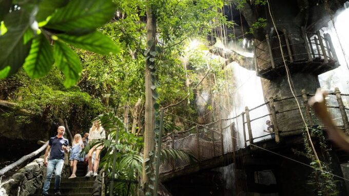 Gothenburg: Universeum Entry Ticket - Journey Through the Rainforest
