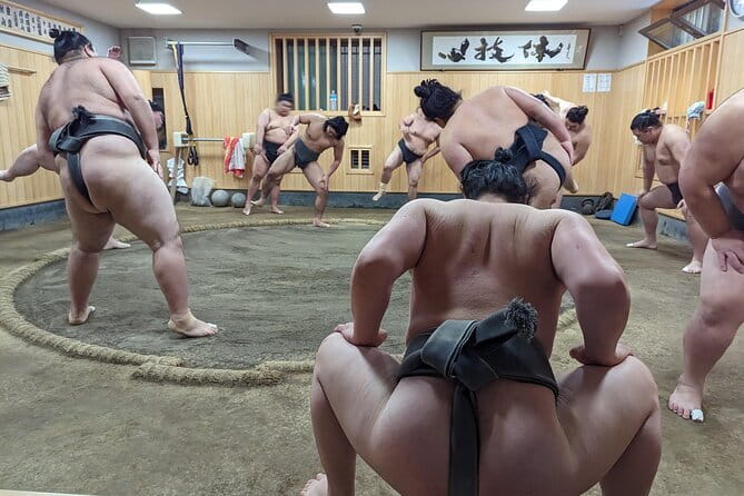 Gotokuji Cat Temple Shinjuku Cat Cafe and 3D Cat Tour - Reviews