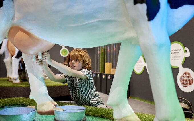 Gouda: Gouda Cheese Experience Entry Ticket - Interactive Cheese-making Experiences