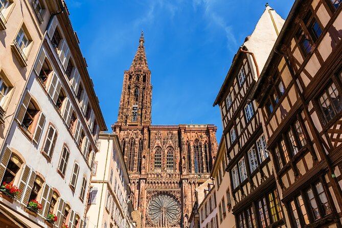 Gourmet Bike Tour With a Locals in Strasbourg - Tour Activities and Highlights