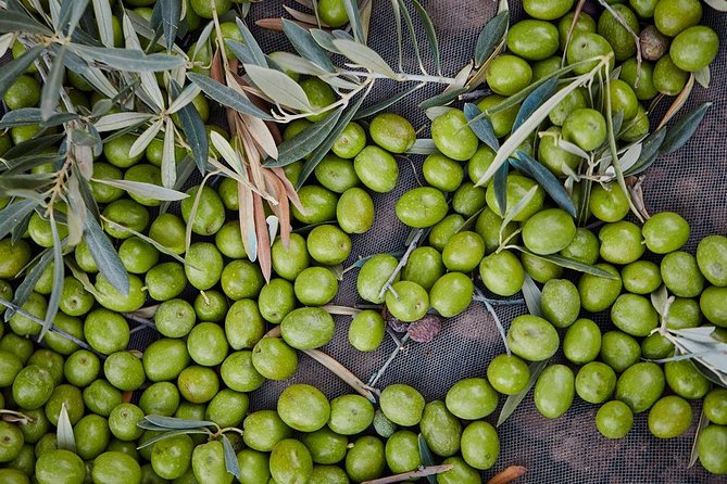 Gourmet Cooking Class & Culture in the Rural Montes De Malaga. - Pricing and Cancellation Policy