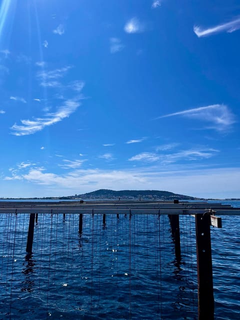 Gourmet Escape on the Etang De Thau - Savoring Local Delicacies