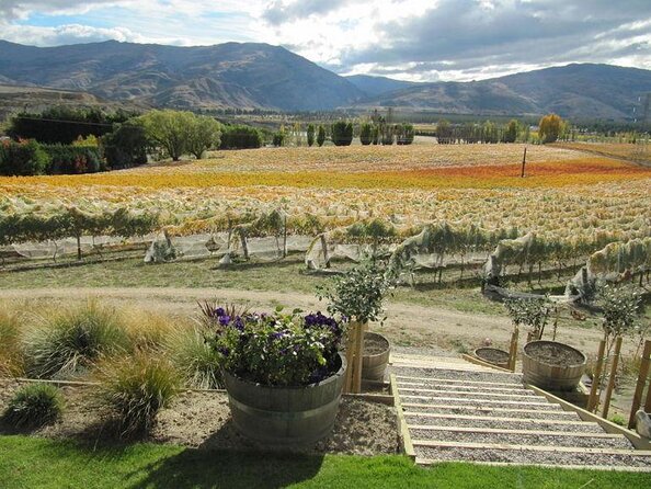 Gourmet Food, Wine and Cheese Tour From Queenstown - Booking and Accessibility