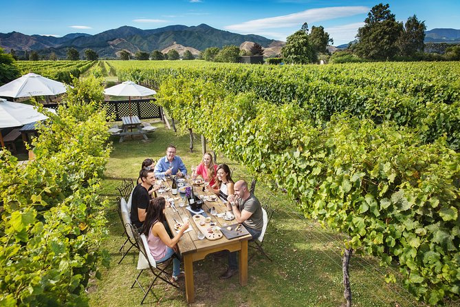 Gourmet Gold Winery Tour Marlborough - Full Day - Knowledgeable and Friendly Guide