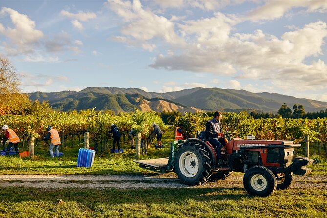 Gourmet Gold Winery Tour Marlborough - Full Day - Traveler Capacity and Accessibility