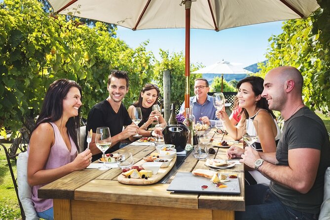 Gourmet Gold Winery Tour Marlborough - Full Day - Positive Feedback and Host Response