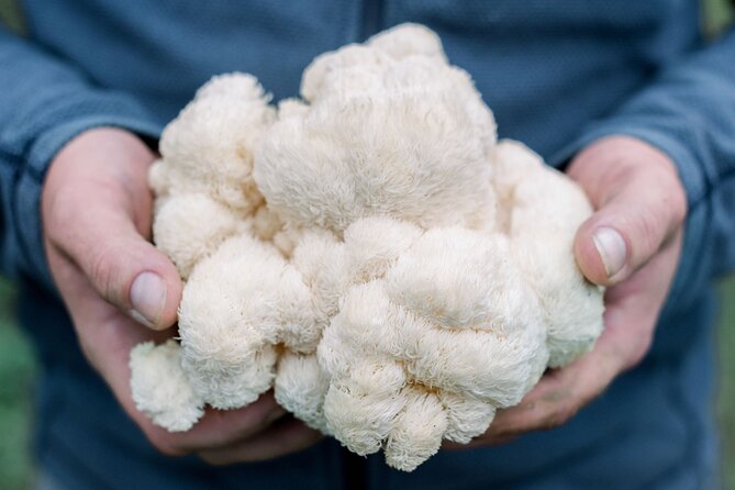 Gourmet Mushroom Farm Tour in Tennessee - Key Points
