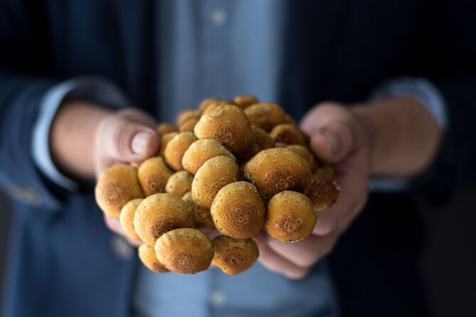 Gourmet Mushroom Farm Tour in Tennessee - Booking and Tour Details