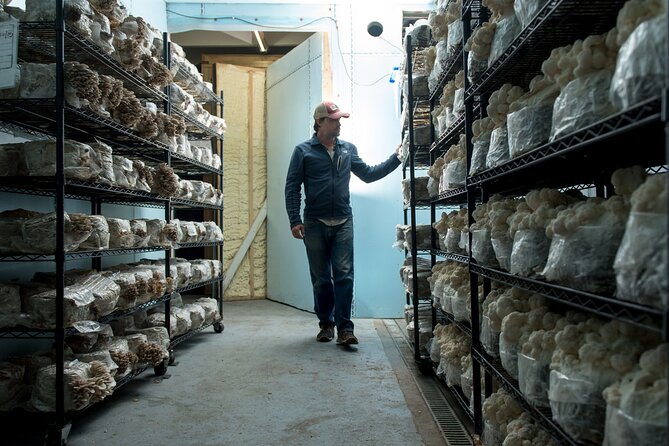 Gourmet Mushroom Farm Tour in Tennessee - Directions to the Mushroom Farm