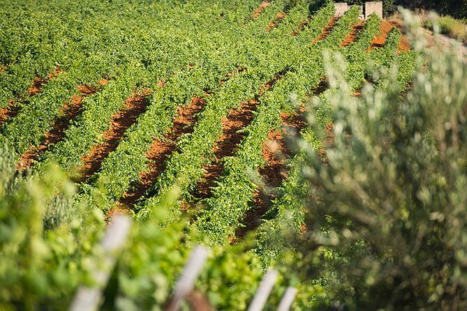 Gourmet Pizza Workshop and Wine Tasting - Location Details