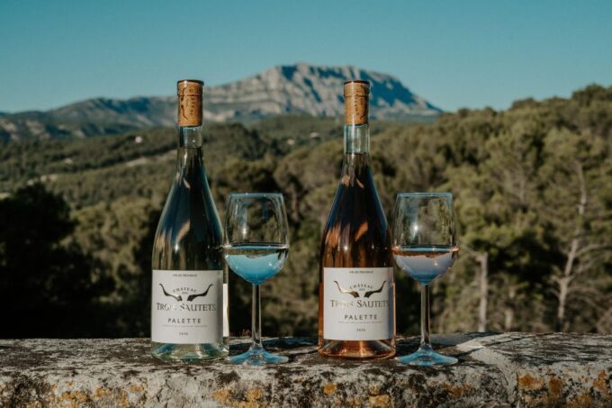 Gourmet Trip - Exploring the Cellar and Vineyards