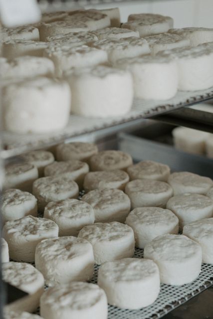 Gourmet Trip - Frequently Asked Questions